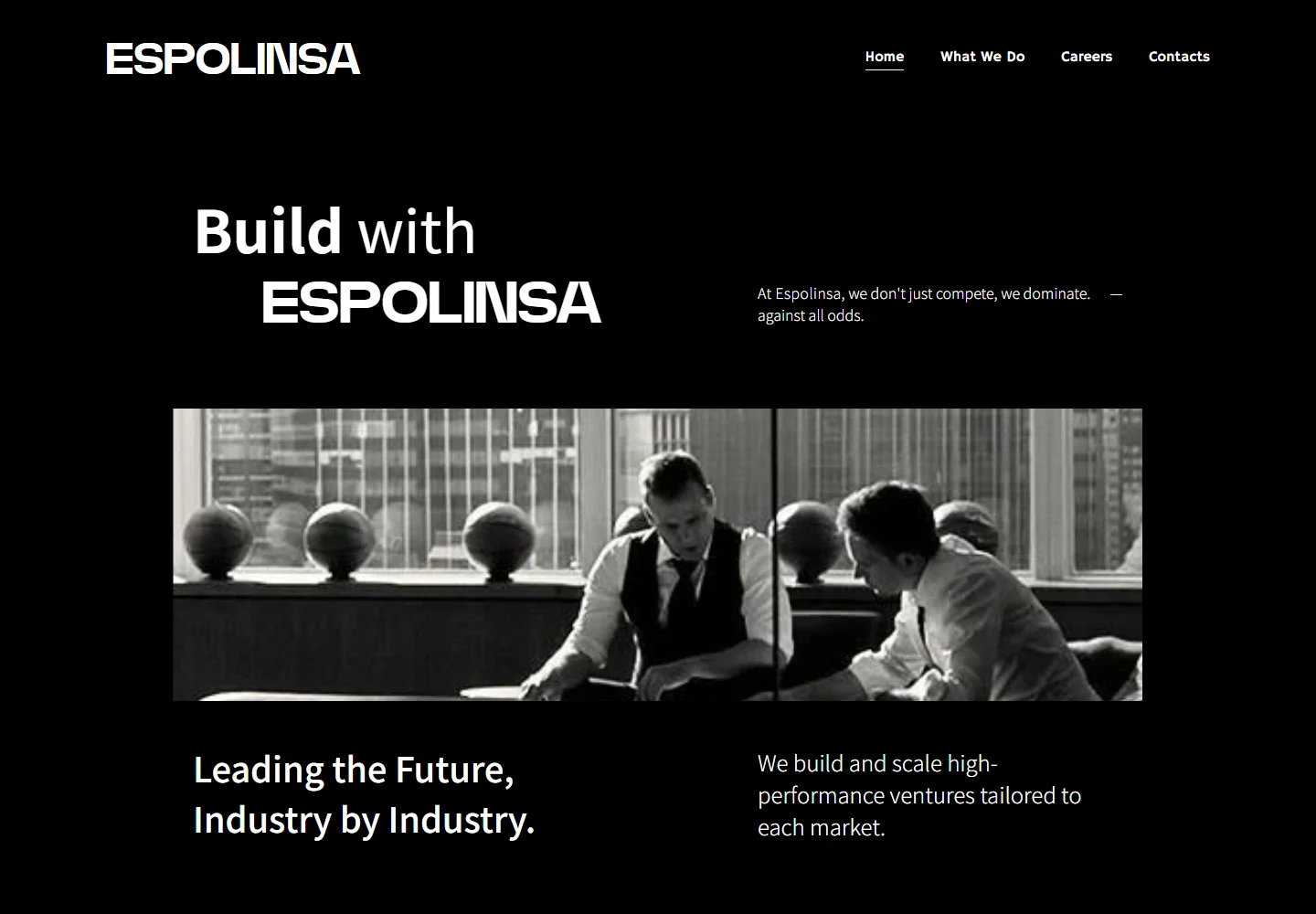 ESPOLINSA actual website preview